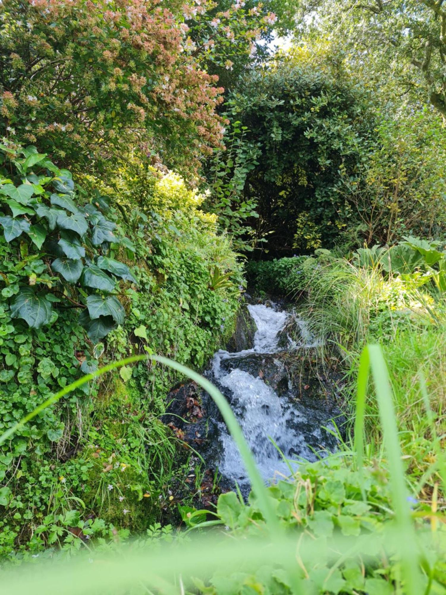 Moulin De Bonnescat Villa Plogonnec Eksteriør billede